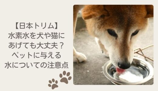 日本トリムの水素水を犬や猫にあげても大丈夫？ペットに与える水についての注意点